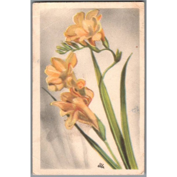 Illa - Stender Serie 1500 - Brugt