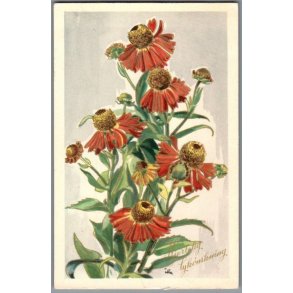  illa - Hjertelig Lyknskning - Stender Serie 5001 - Brugt - Blank forside !