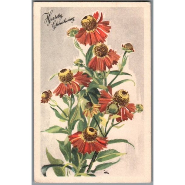 Illa - Hjertelig Lyknskning - Stender Serie 1400 - Brugt