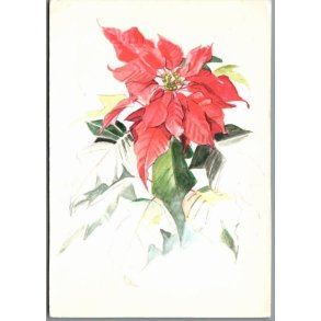 Illa - Stender 151 g00 435 - Brugt