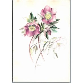 Illa - Stender 151 g00 435 - Brugt