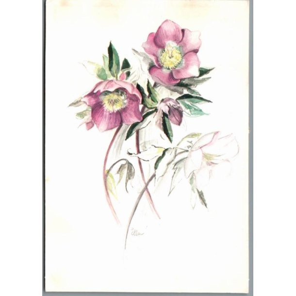 Illa - Stender 151 g00 435 - Brugt