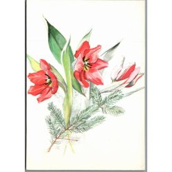 Illa - 151 g00 435 - Ubrugt