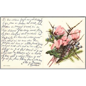 Illa - Dobbeltkort - Stender 5041/46