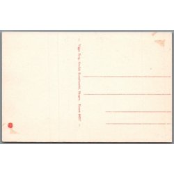 Skagen Fyr - Postkort - Ubrugt