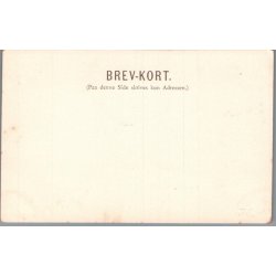 Hilsen fra Skagen - Postkort - Ubrugt