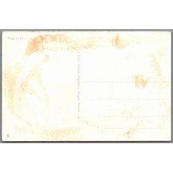 Skagen Fyr - Postkort - Ubrugt - Har vret klbet op !