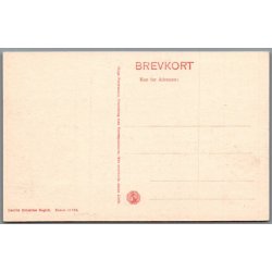 Skagen Fyr - Postkort - Ubrugt