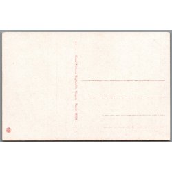 Skagen Fyr - Postkort - Ubrugt