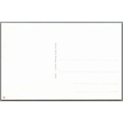 Skagens Fortidsminder - Postkort - Ubrugt