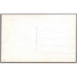 Skagens Fortidsminder - Postkort - Ubrugt