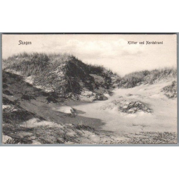 Skagen - Klitter ved Nordstrand - Postkort - Ubrugt