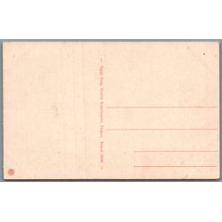 Skagen Nordstrand - Postkort - Ubrugt