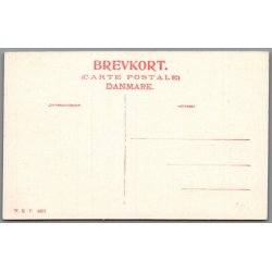 Skagen - Grenen - Postkort - Ubrugt