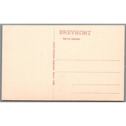 Skagen - Signalstationen - Postkort -  Ubrugt