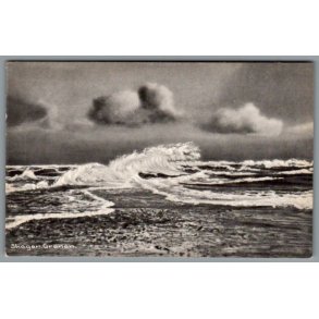 Skagen - Grenen - Postkort - Ubrugt