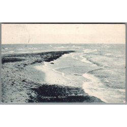 Skagens Gren - Postkort - Brugt