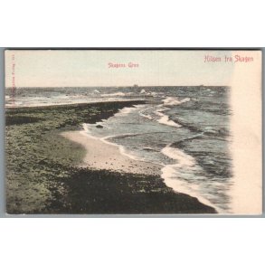 Hilsen fra Skagen - Skagens Gren - Postkort - Ubrugt