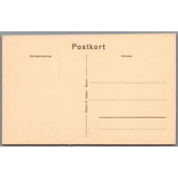 Skagens Gren - Postkort - Ubrugt