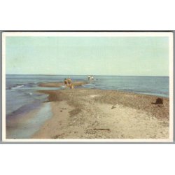 Skagen - Grenen - Postkort - Brugt