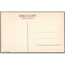 Skagen - Grenen - Postkort - Ubrugt