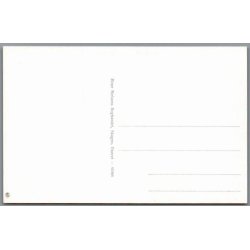 Skagen - Parti ved Grenens Spids - Postkort - Ubrugt