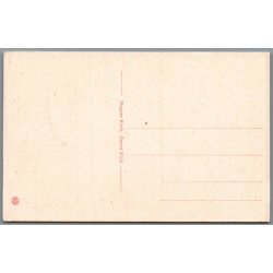 Maager ved Skagens Gren - Postkort - Ubrugt