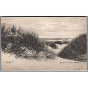 Skagen - Klitparti ved Grenen - Postkort - Ubrugt