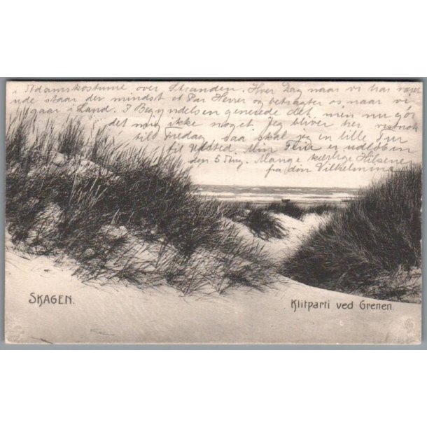 Skagen - Klitparti ved Grenen - Postkort - Brugt