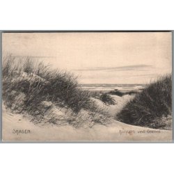 Skagen - Klitparti ved Grenen - Postkort - Brugt