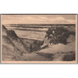 Klitparti - Skagen - Postkort - Ubrugt