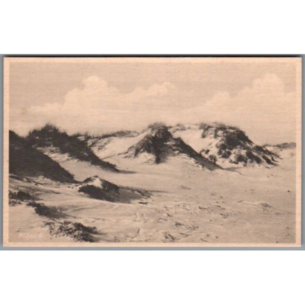 Klitparti - Skagen - Postkort - Ubrugt