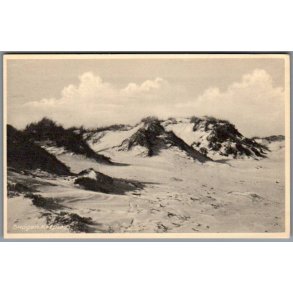 Skagen - Klitparti - Postkort - Brugt