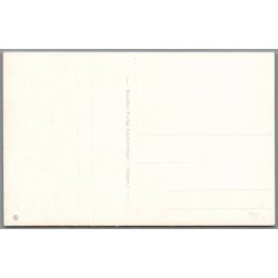 Skagen - Klitparti - Postkort - Ubrugt