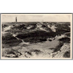 Skagen - Klitparti - Postkort - Ubrugt