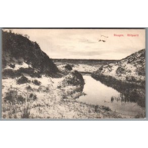 Skagen - Klitparti - Postkort - Brugt