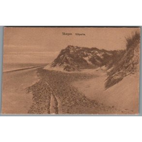 Skagen - Klitparti - Postkort - Ubrugt
