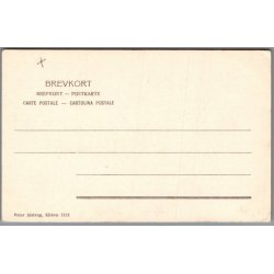 Skagen - Postkort - Ubrugt