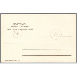 Skagen - Postkort - Ubrugt