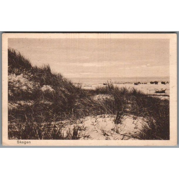 Skagen - Klitparti - Postkort - Brugt