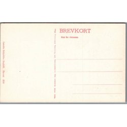 Hilsen fra Skagen - Postkort - Ubrugt