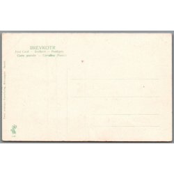 Skagen - Klitparti - Postkort - Ubrugt