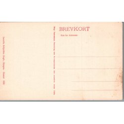 Skagen - Lars Kruses Monument - Postkort - Ubrugt