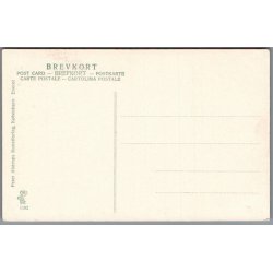 Skagen - Lars Kruses Mindesten - Postkort - Ubrugt