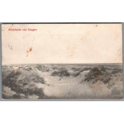 Klitbillede ved Skagen - Postkort - Brugt