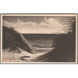 Skagen - Klitter og Hav - Postkort - Ubrugt