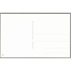 Skagen - Danmarks nordligske Kilometersten - Postkort - Ubrugt