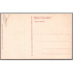 Skagen - Den tyske Monument - Postkort - Ubrugt