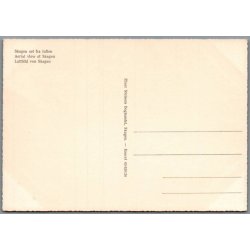 Skagen set fra Luften - Postkort - Ubrugt