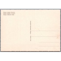 Skagen - Lyngen Blomstre - Postkort - Ubrugt